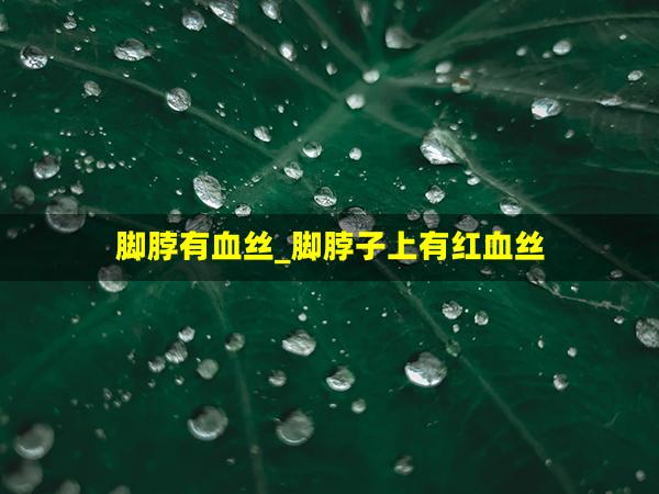 脚脖有血丝_脚脖子上有红血丝