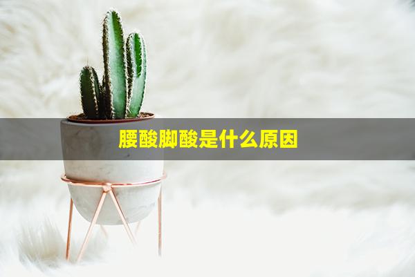 腰酸脚酸是什么原因