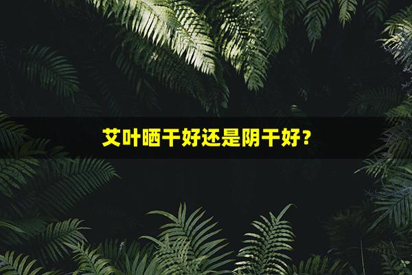 艾叶晒干好还是阴干好？