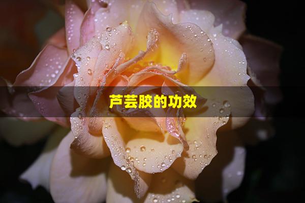 芦芸胶的功效