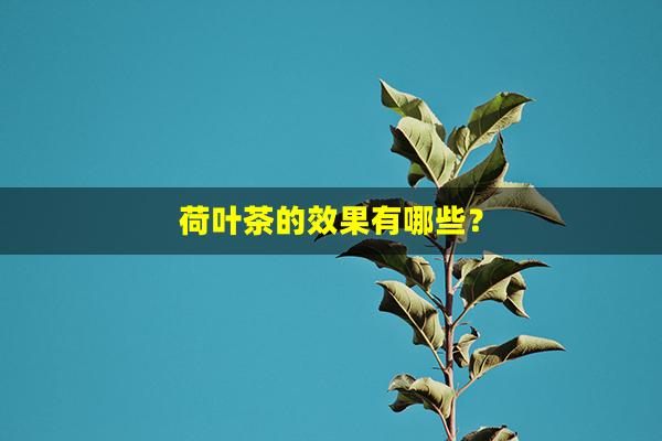 荷叶茶的效果有哪些？