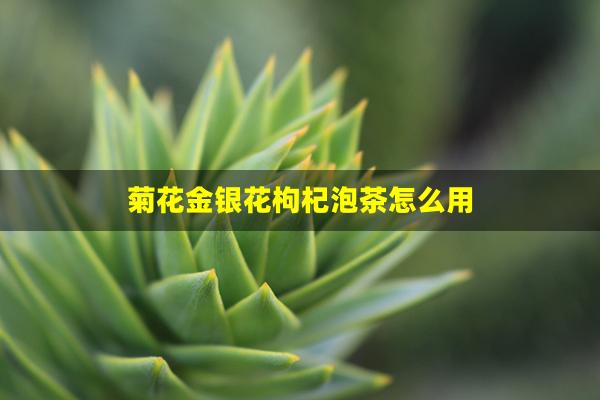 菊花金银花枸杞泡茶怎么用