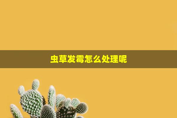 虫草发霉怎么处理呢