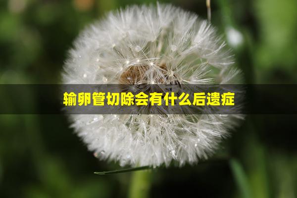 输卵管切除会有什么后遗症