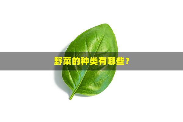 野菜的种类有哪些？