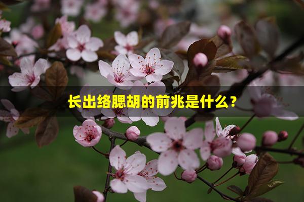 长出络腮胡的前兆是什么？