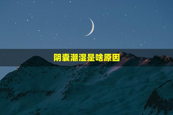 阴囊潮湿是啥原因