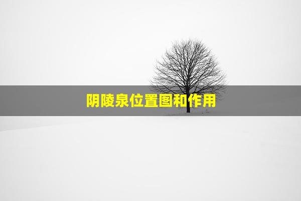 阴陵泉位置图和作用