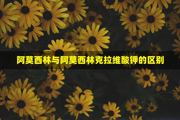 阿莫西林与阿莫西林克拉维酸钾的区别