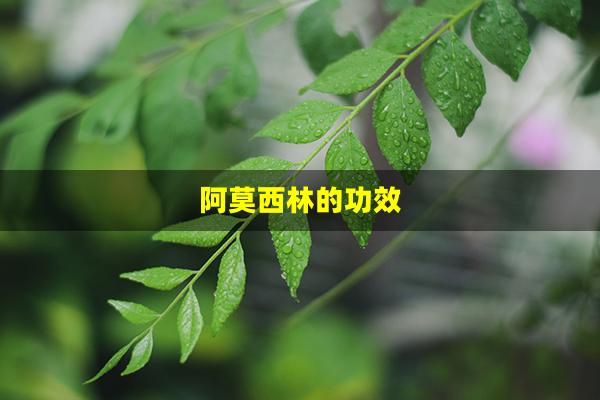 阿莫西林的功效