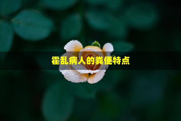 霍乱病人的粪便特点