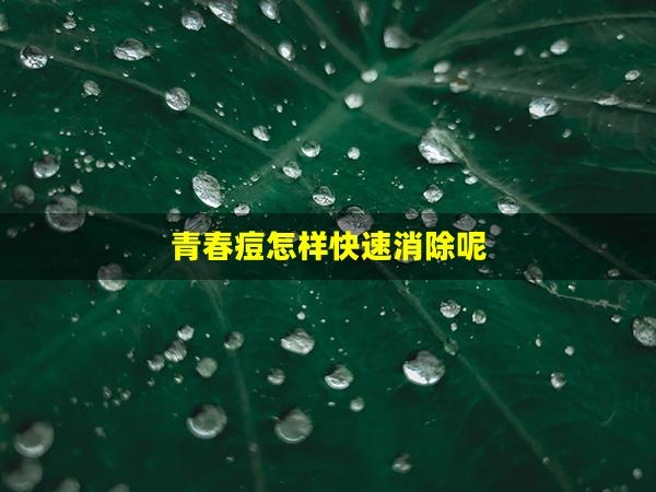 青春痘怎样快速消除呢