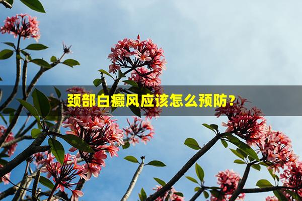 颈部白癜风应该怎么预防？