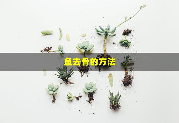 鱼去骨的方法