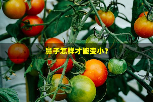 鼻子怎样才能变小？