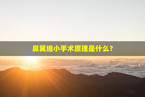 鼻翼缩小手术原理是什么？