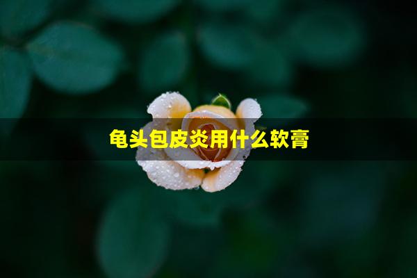 龟头包皮炎用什么软膏