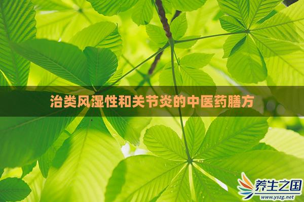 治类风湿性和关节炎的中医药膳方