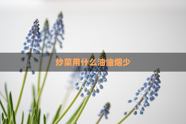 炒菜用什么油油烟少