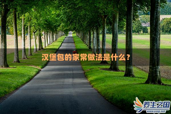 汉堡包的家常做法是什么？