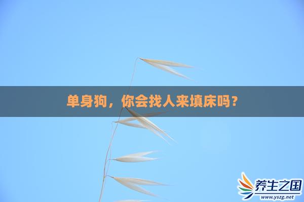 单身狗，你会找人来填床吗？