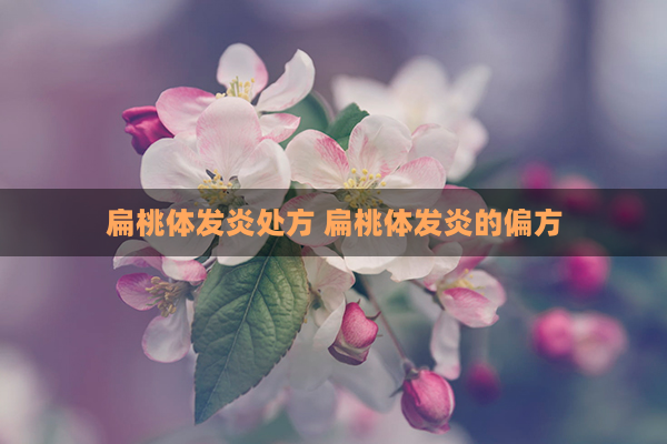 扁桃体发炎处方 扁桃体发炎的偏方