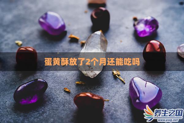 蛋黄酥放了2个月还能吃吗