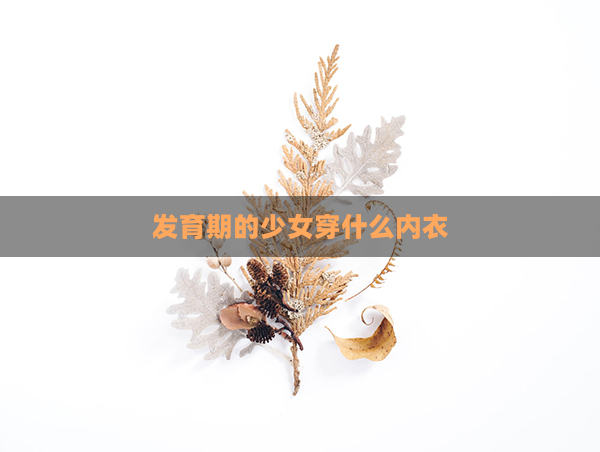 发育期的少女穿什么内衣