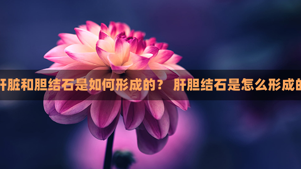 肝脏和胆结石是如何形成的？ 肝胆结石是怎么形成的