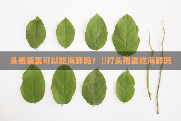 头孢菌素可以吃海鲜吗？ ​打头孢能吃海鲜吗