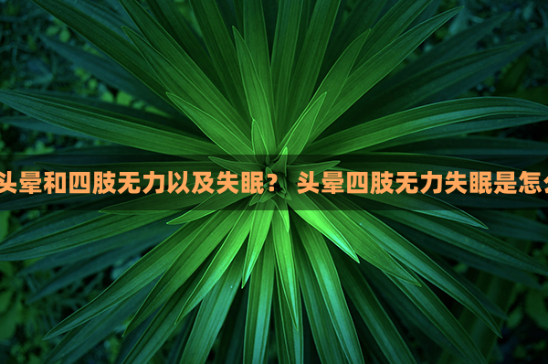 什么是头晕和四肢无力以及失眠？ 头晕四肢无力失眠是怎么回事？