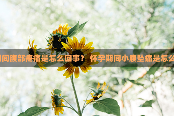 怀孕期间腹部疼痛是怎么回事？ 怀孕期间小腹坠痛是怎么回事？