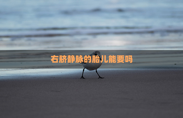 右脐静脉的胎儿能要吗