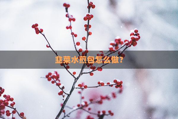 韭菜水煎包怎么做？