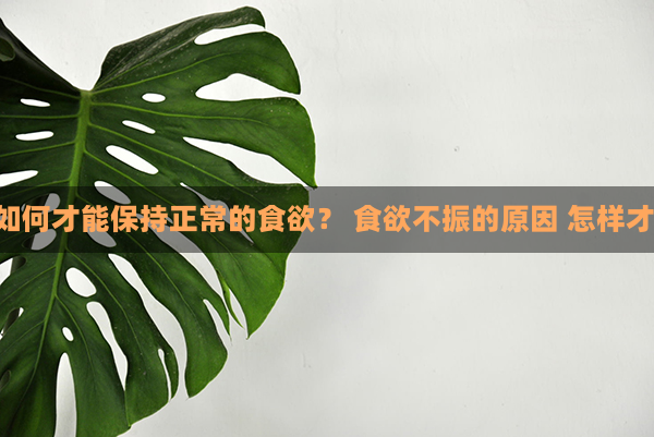 食欲不振的原因 如何才能保持正常的食欲？ 食欲不振的原因 怎样才能保持正常食欲？