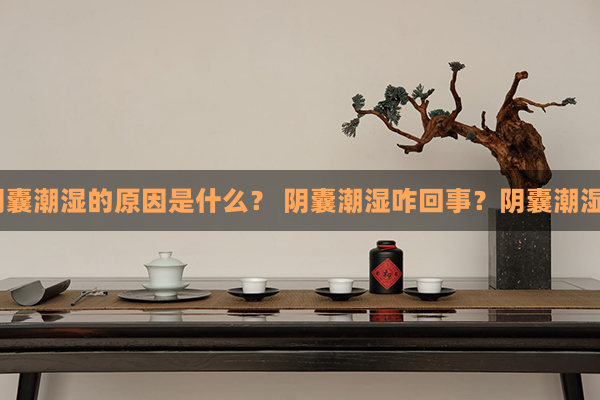 什么是阴囊潮湿？阴囊潮湿的原因是什么？ 阴囊潮湿咋回事？阴囊潮湿是由什么原因引起？