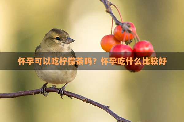 怀孕可以吃柠檬茶吗？怀孕吃什么比较好