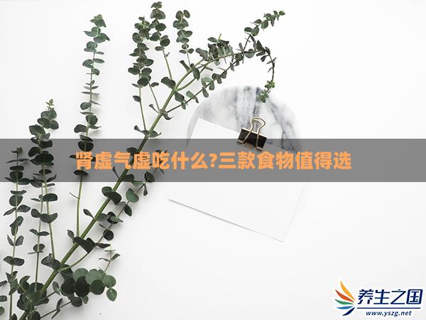 肾虚气虚吃什么?三款食物值得选