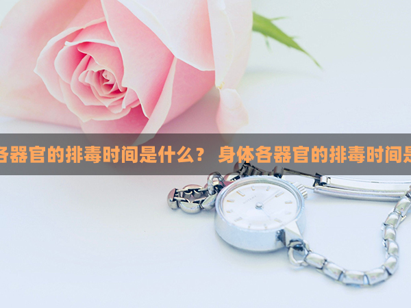 人体各器官的排毒时间是什么？ 身体各器官的排毒时间是什么