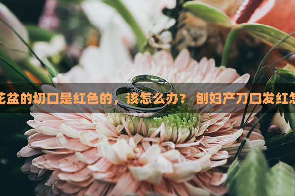 如果花盆的切口是红色的，该怎么办？ 刨妇产刀口发红怎么办