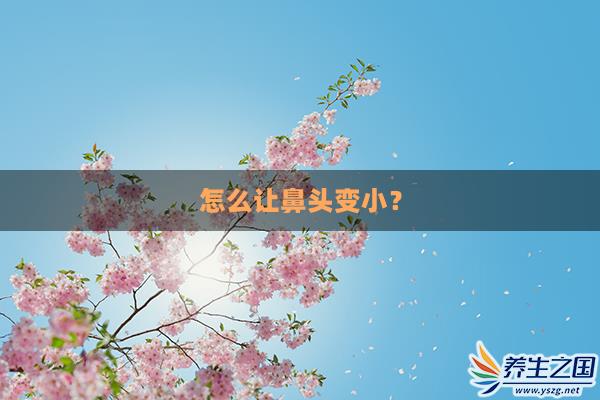 怎么让鼻头变小？