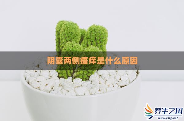 阴囊两侧瘙痒是什么原因