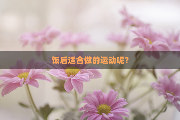 饭后适合做的运动呢？