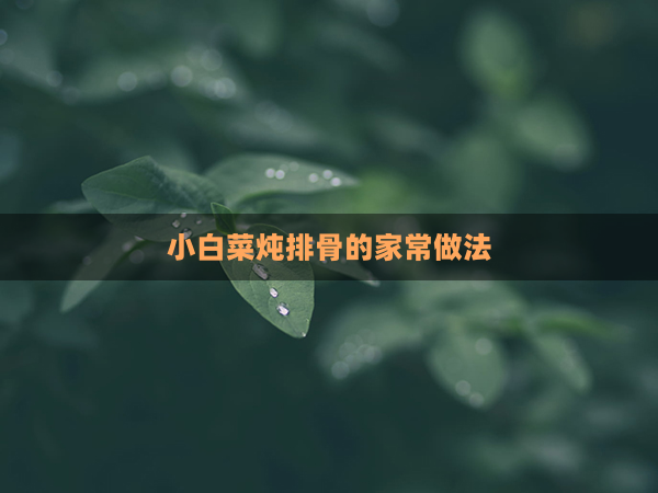 小白菜炖排骨的家常做法