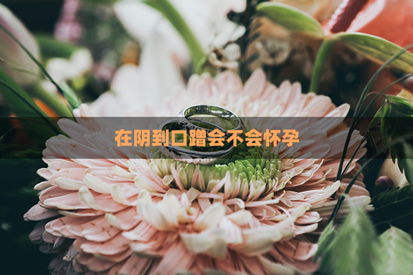 在阴到口蹭会不会怀孕